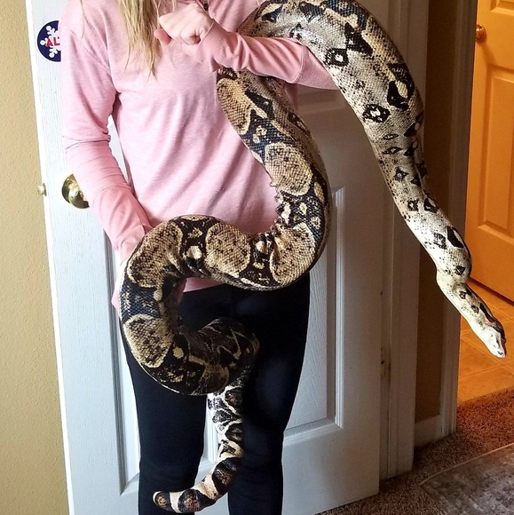 🐍Meet Medusa🐍 - Picture 2 of 3